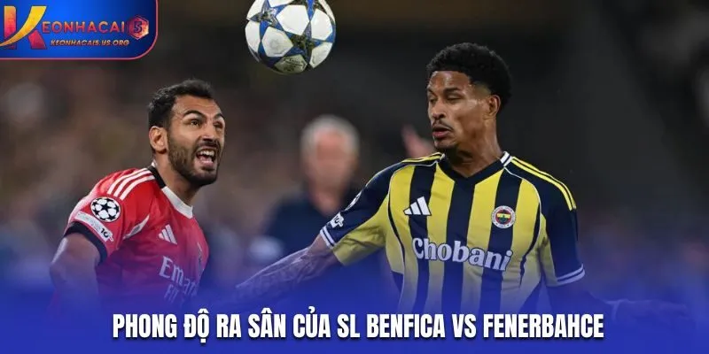 Soi kèo SL Benfica vs Fenerbahce - thống kê phong độ hai đội trước trận