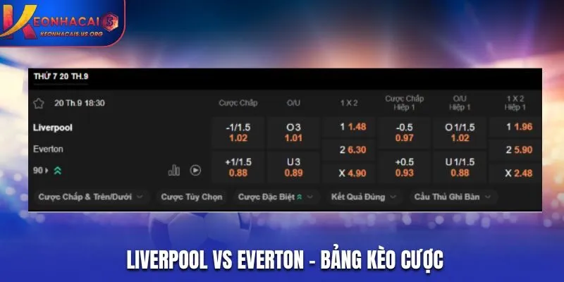 Soi kèo Liverpool vs Everton - bảng tỷ lệ