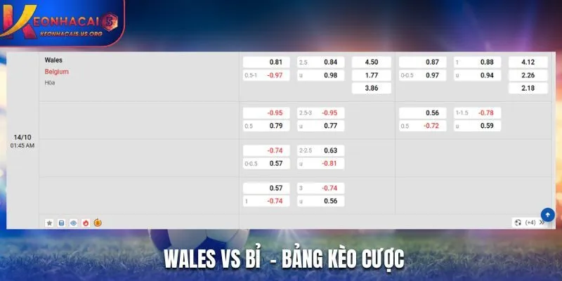 Soi kèo Wales vs Bỉ - bảng tỷ lệ kèo cược